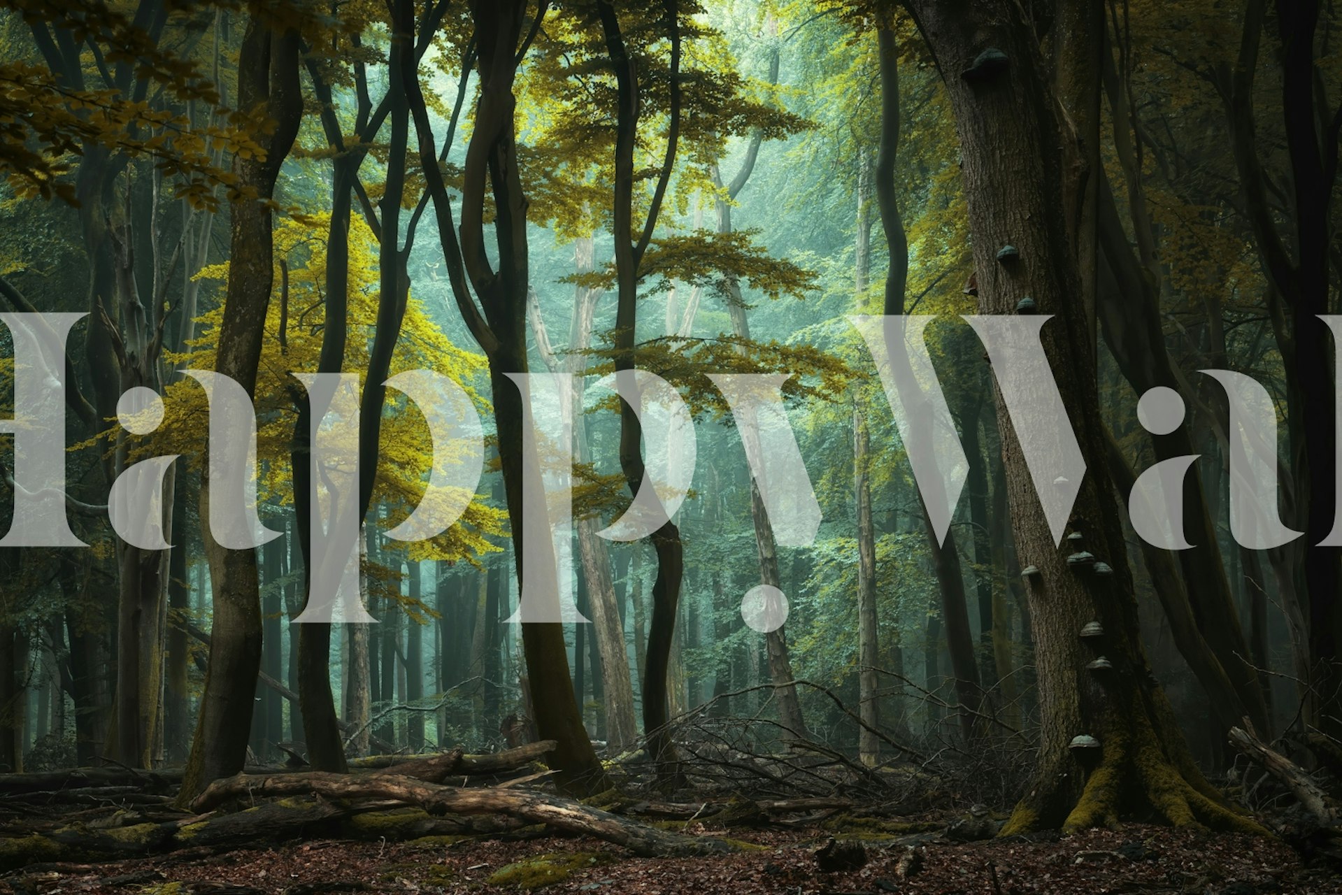 Mystical forest wallpaper in cozy room