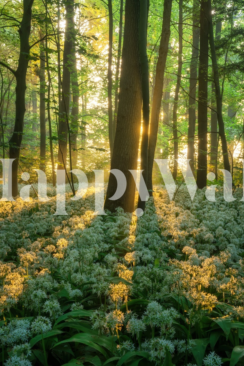Lush green forest with white flowers under sunlight wallpaper