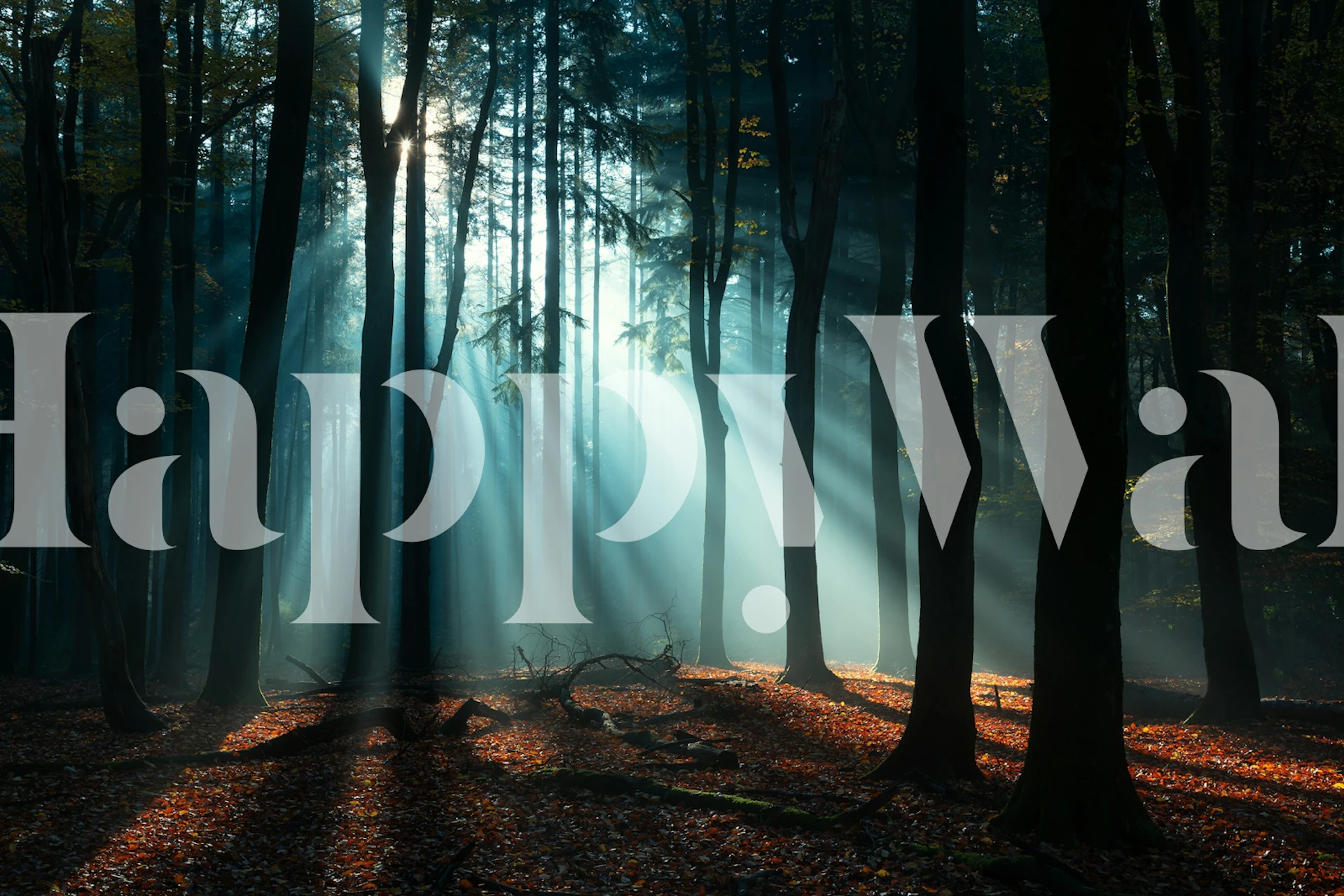 Enchanted woodland scene with beams of light and fall leaves wallpaper