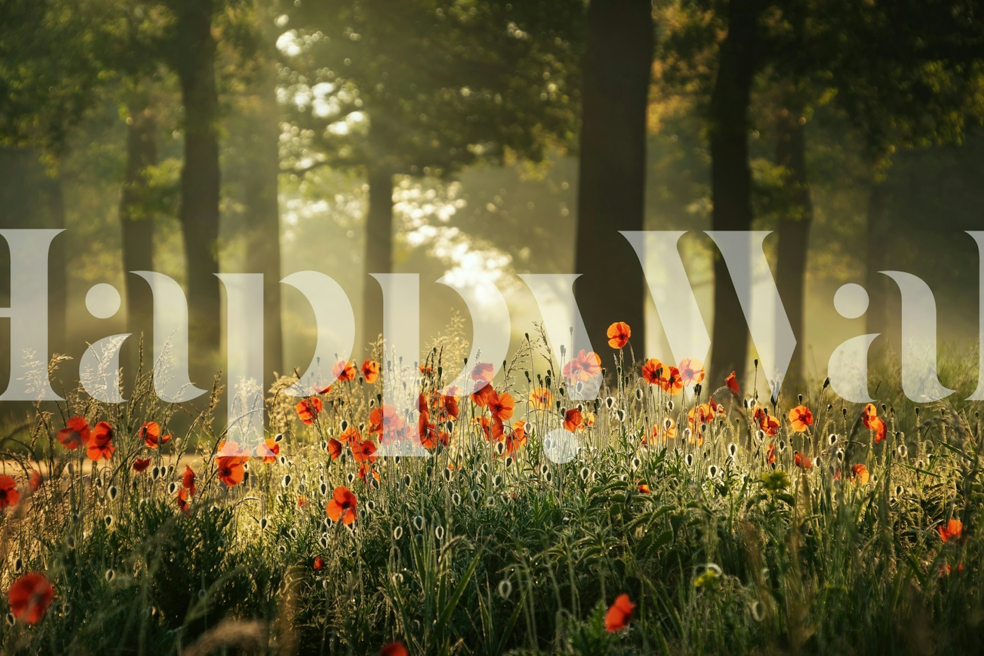 Poppy Forest tapet i et rum