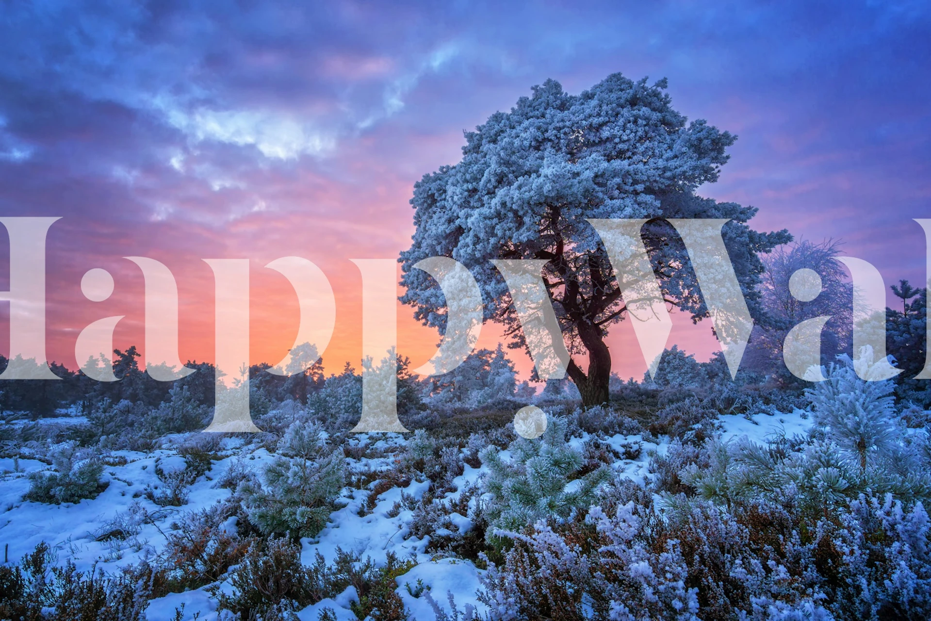 Snowy Tree wallpaper in een gezellige kamer