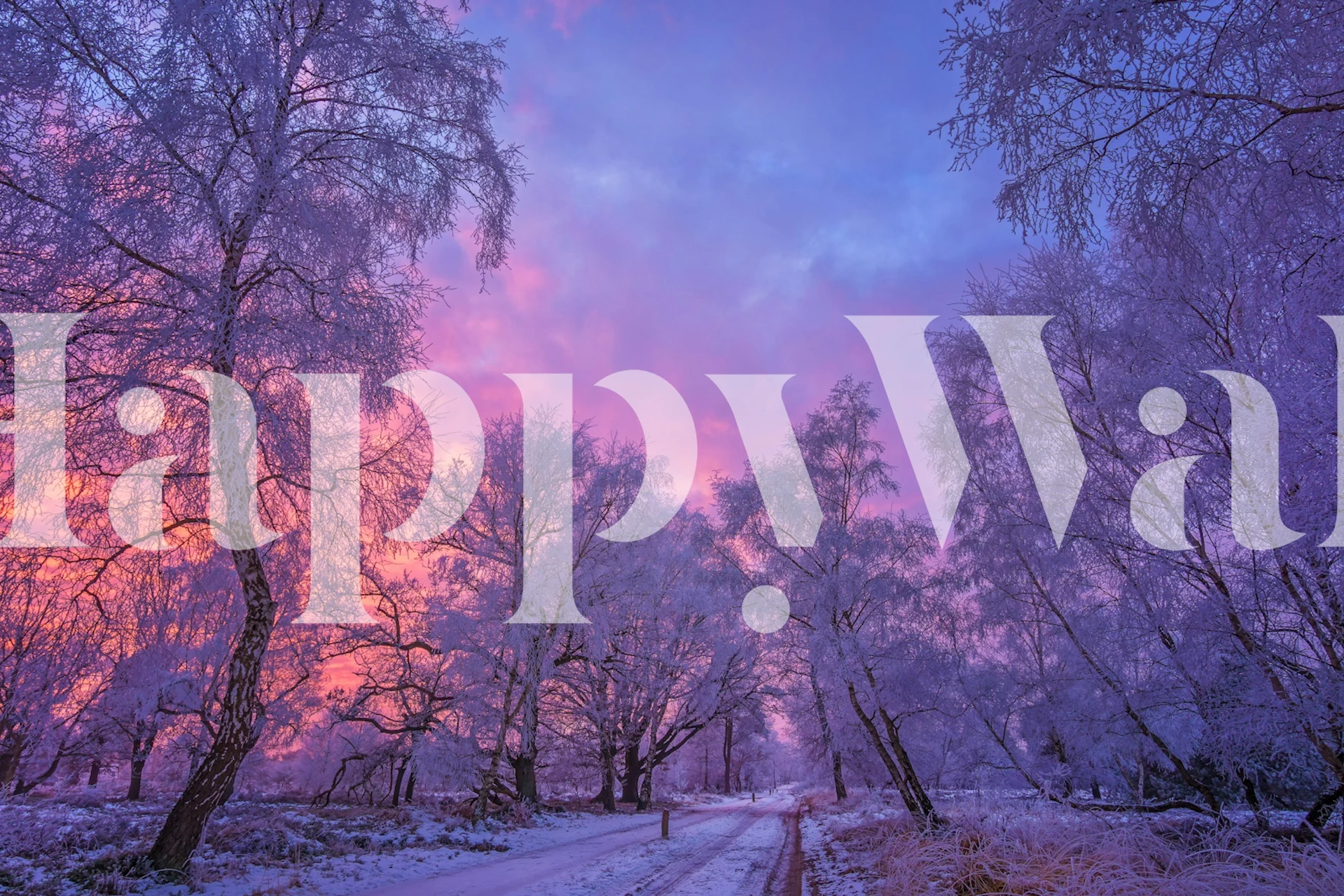 Enchanted Winter Landscape wallpaper in a room