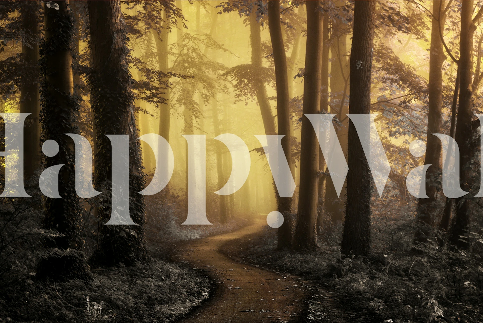 Golden Forest Serenity wallpaper in a room