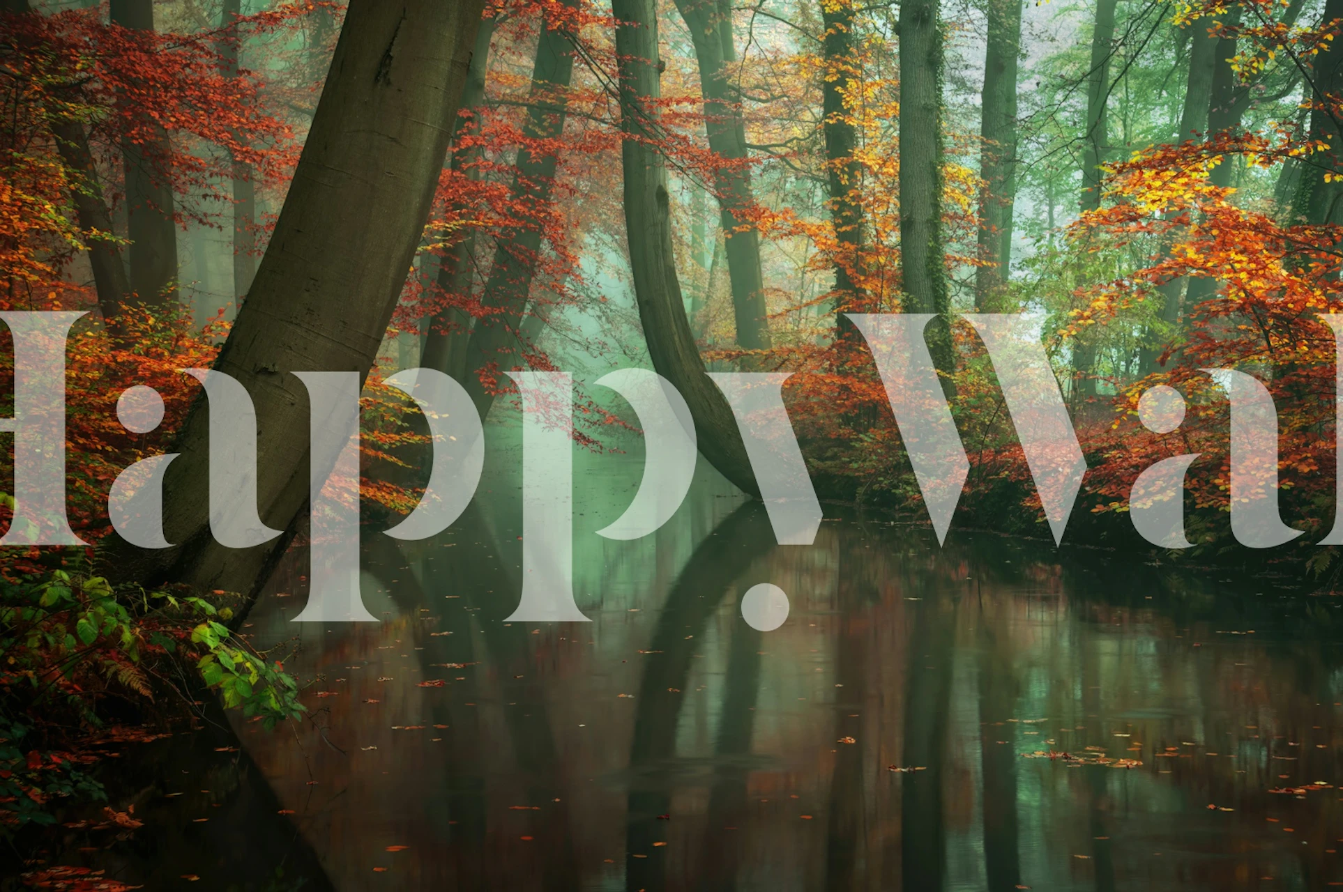 Woodland reflections wallpaper in a room