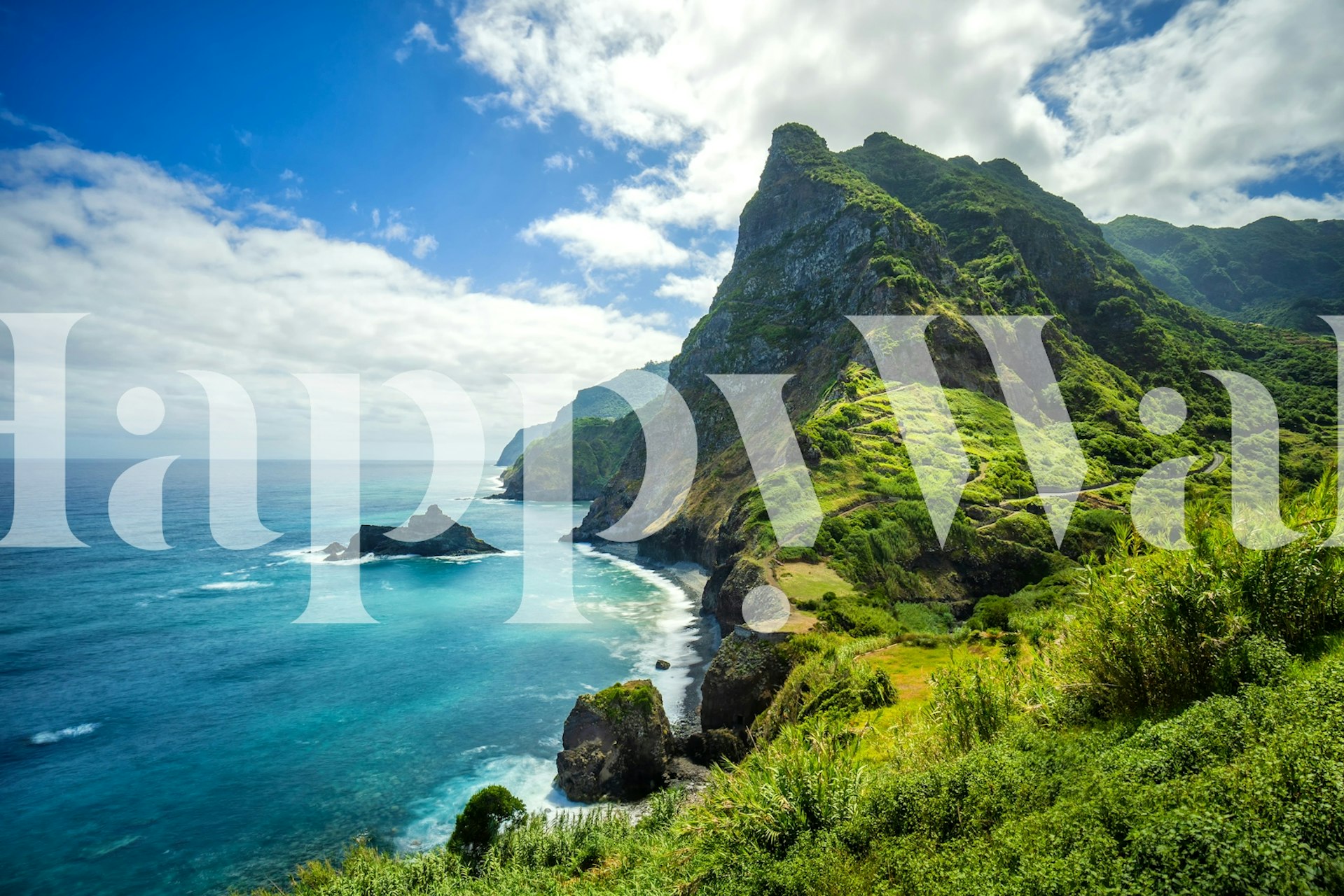 Coastal landscape wallpaper featuring vibrant ocean blue and lush green hues