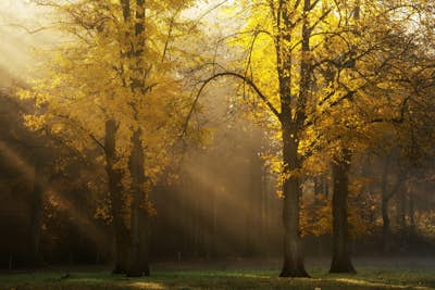 Τοιχογραφία