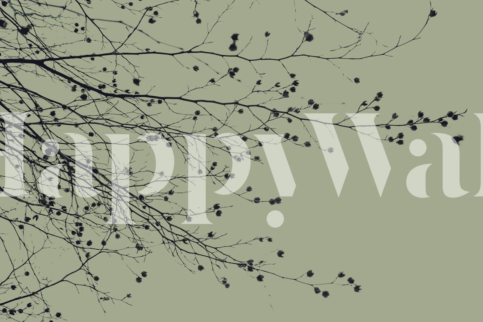 Mossy green wallpaper med trægrene.