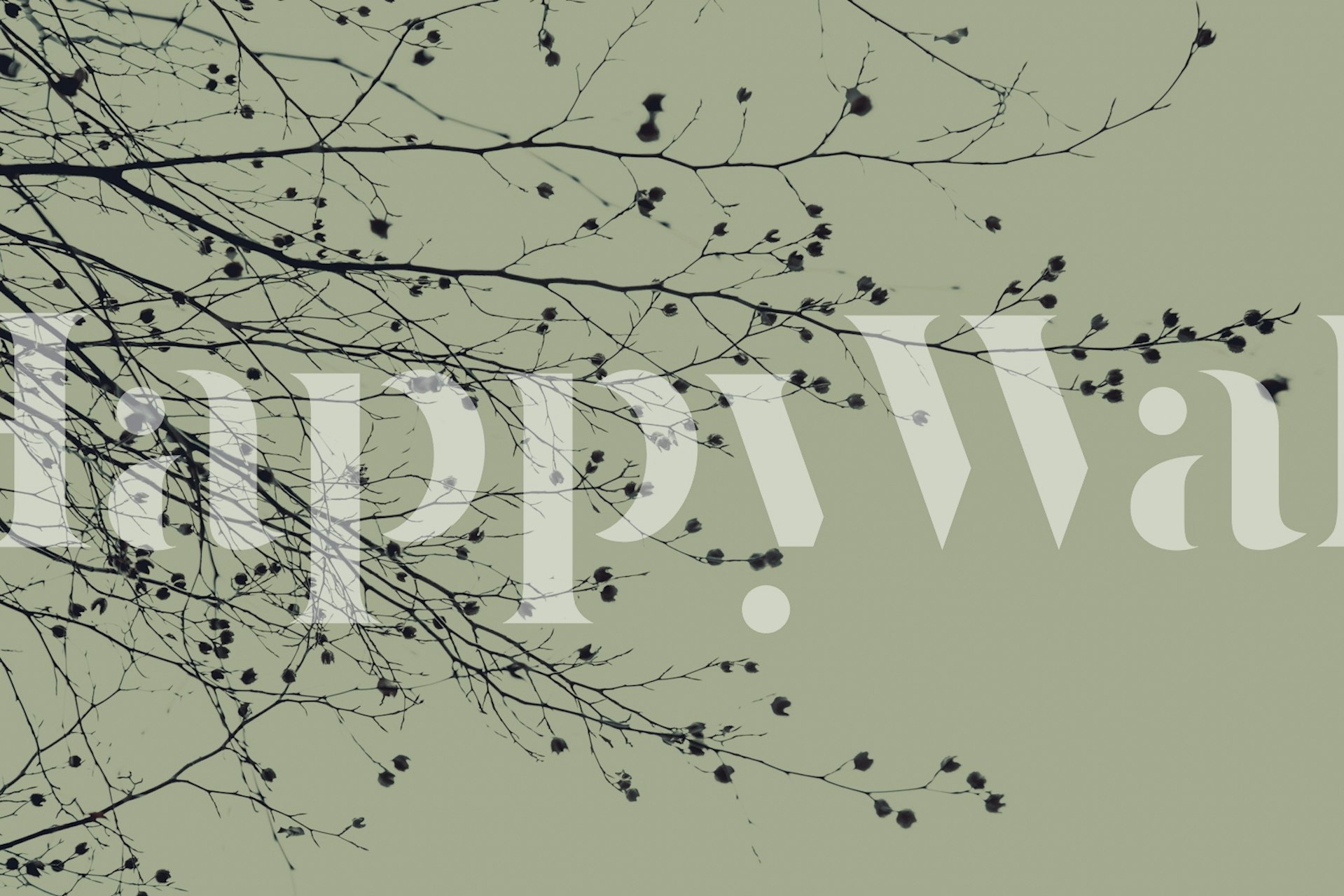 Mossy green wallpaper s granama drveća.