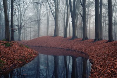 Τοιχογραφία