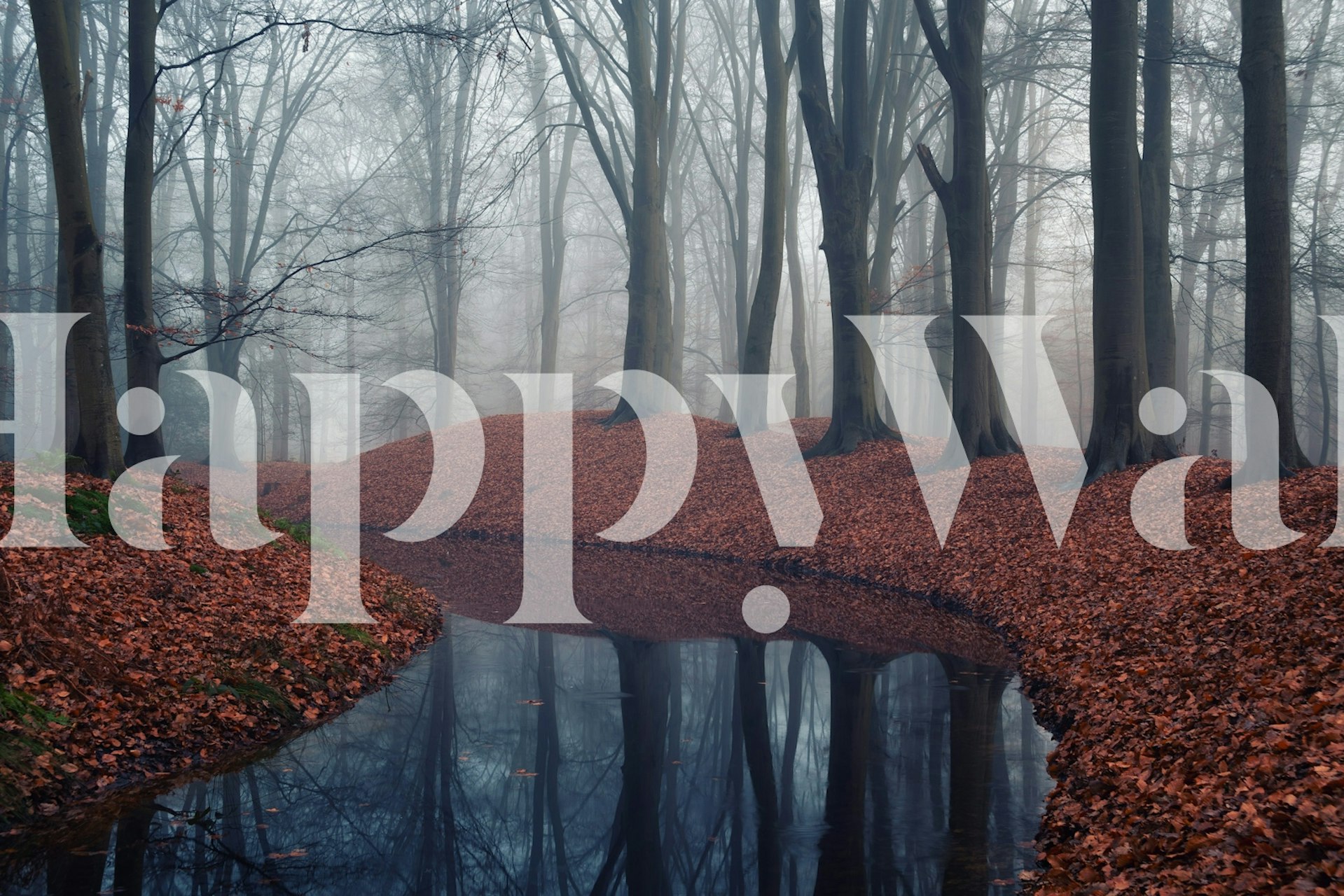 Σχεδίαση ταπετσαρίας Foggy Woodland Pathway
