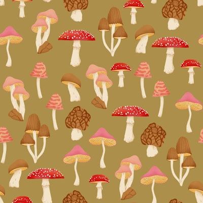 Pattern