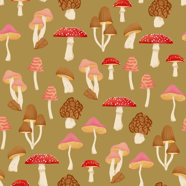 Whimsical Mushroom Garden