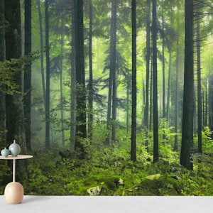 Buy Green Forest Wallpaper Free Us Shipping At Happywall Com