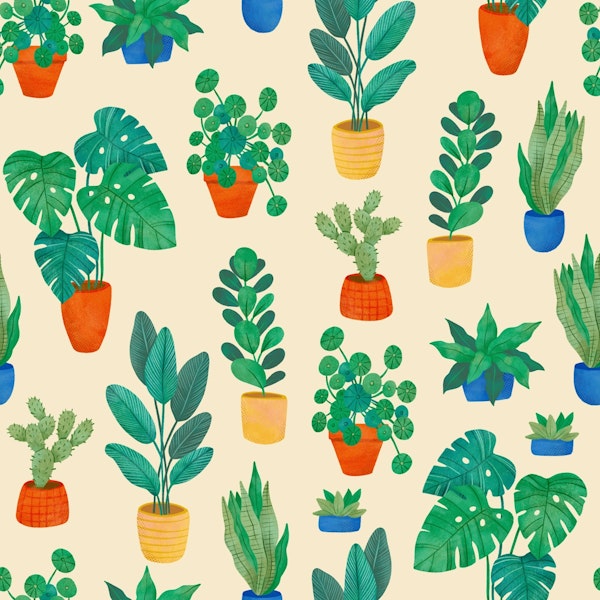 Vibrant Indoor Plant Collection