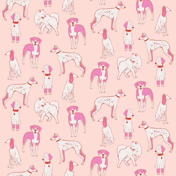 Playful Pups in Pink