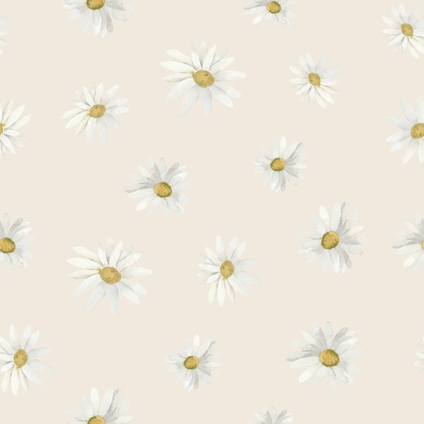 Soft Chamomile Bloom