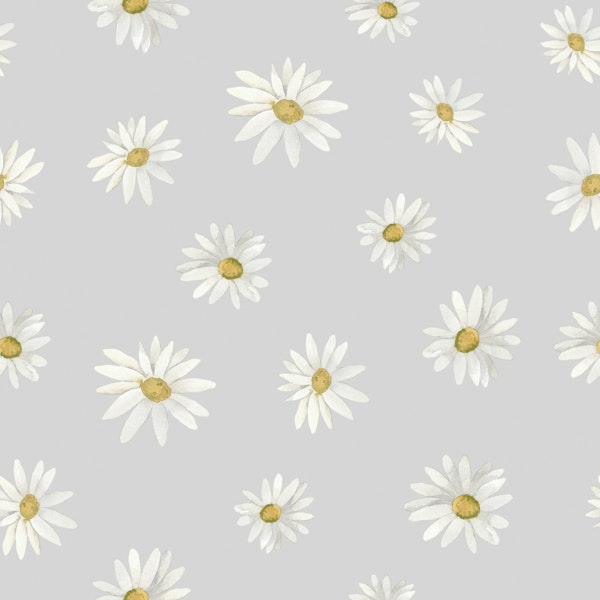 Scattered Daisy Elegance