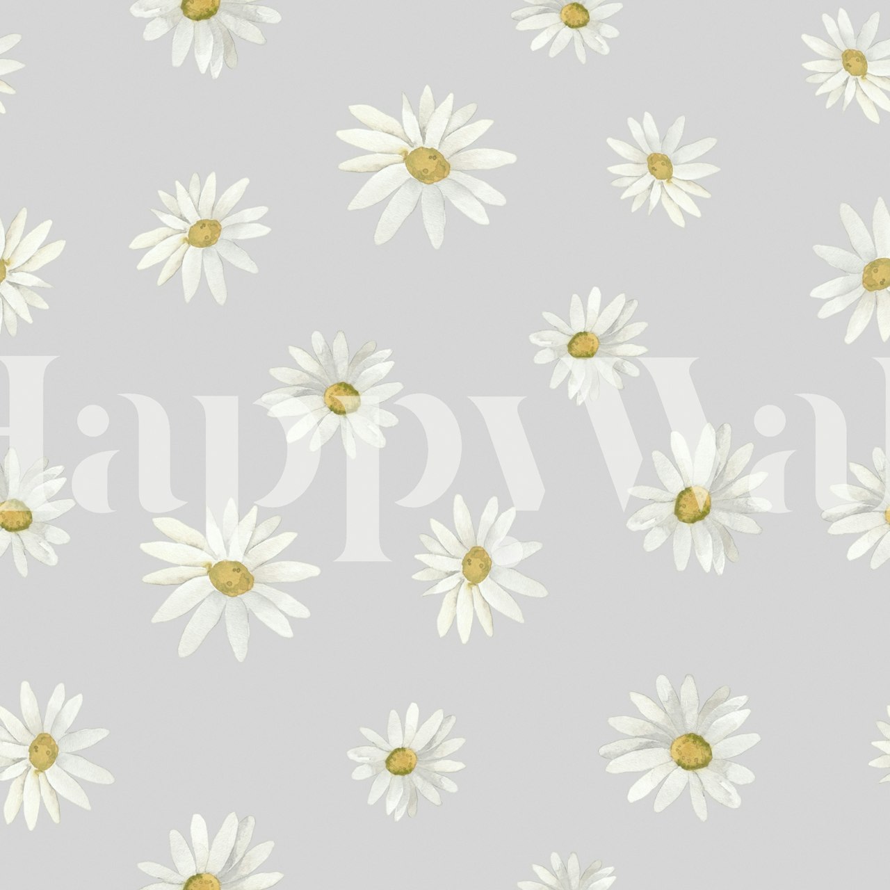White daisies on a soft grey background wallpaper