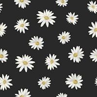 Wild Daisies in Harmony papiers peint