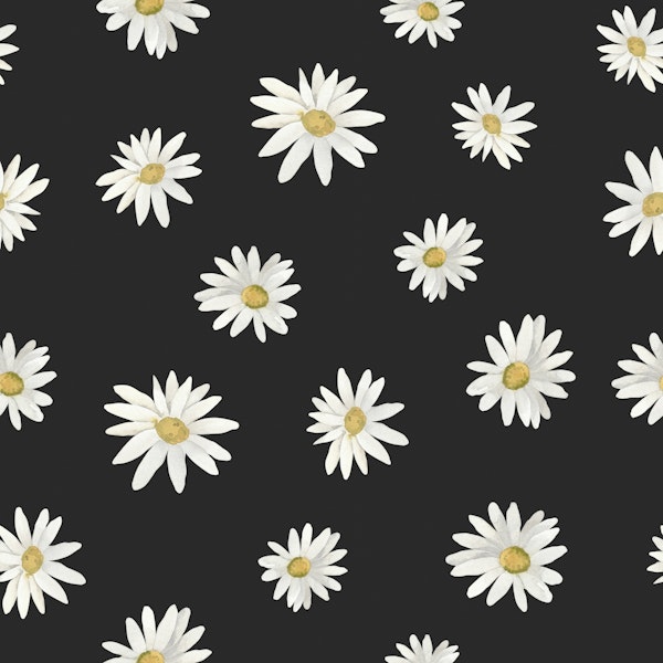 Wild Daisies in Harmony