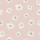 Classic Daisy Serenity