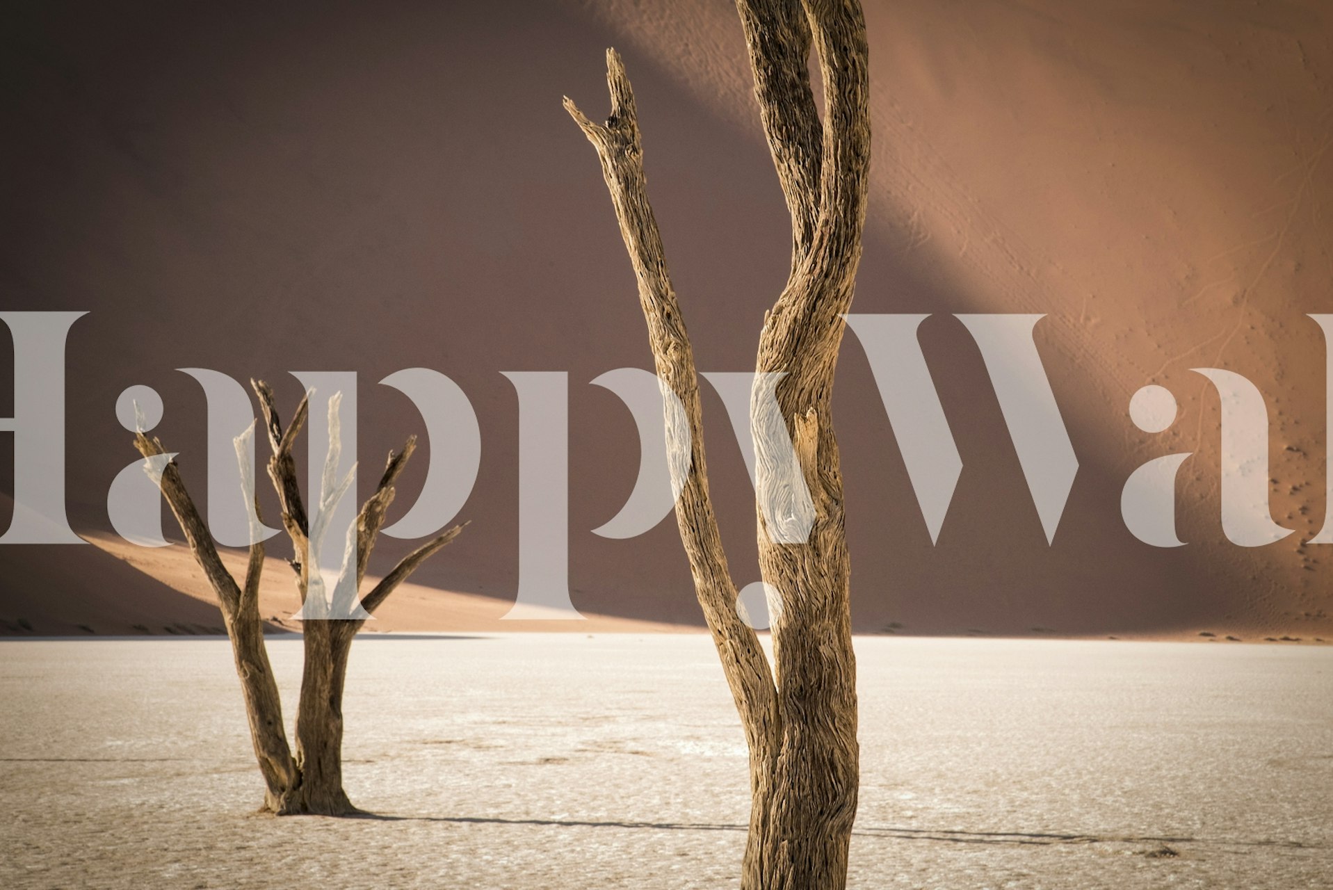 Time-worn trees on a textured desert backdrop wall mural