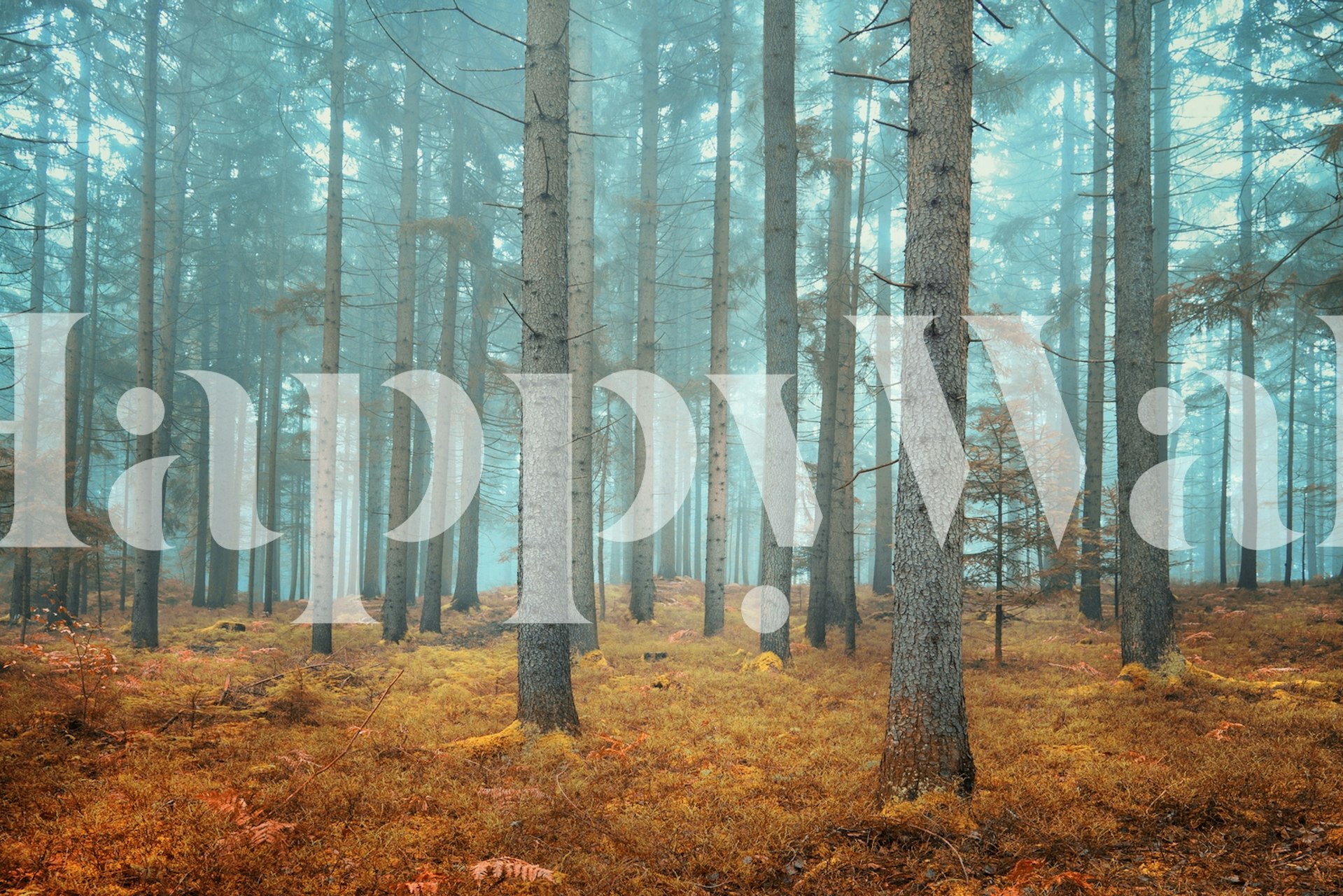 Papier peint Dreamy forest dans une chambre