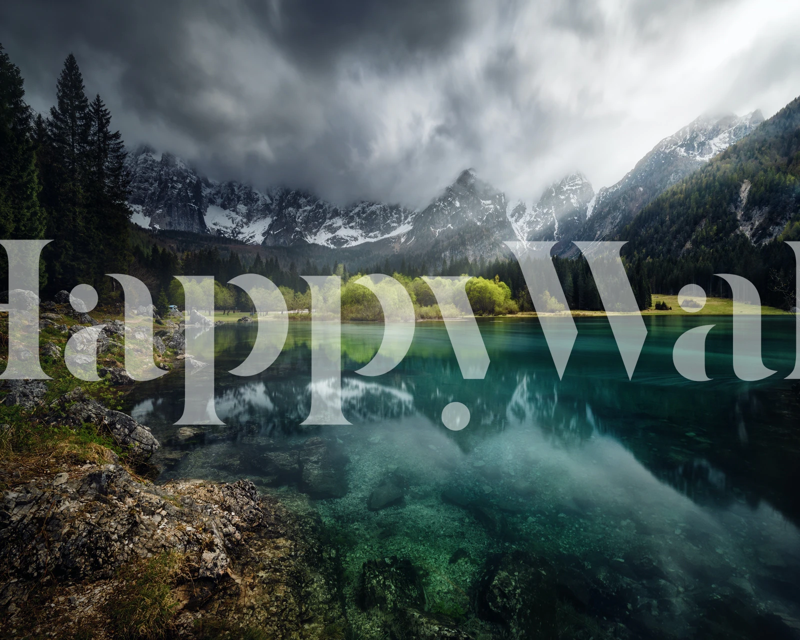 Azul turquesa wallpaper displayed in a room