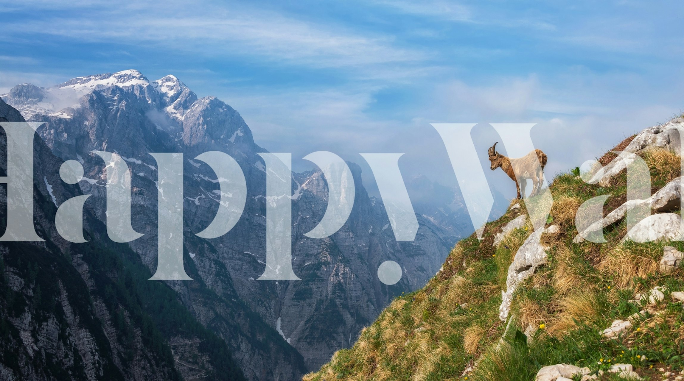 Alpine Ibex standing on a rocky hillside with mountains in the background wallpaper