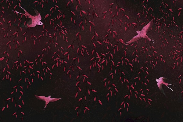 Dark Botanical Birds Garden