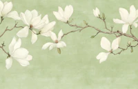 Graceful Magnolia Art Pistachio Green wallpaper