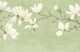 Graceful Magnolia Art Pistachio Green