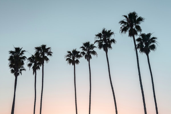 California Dreaming 3