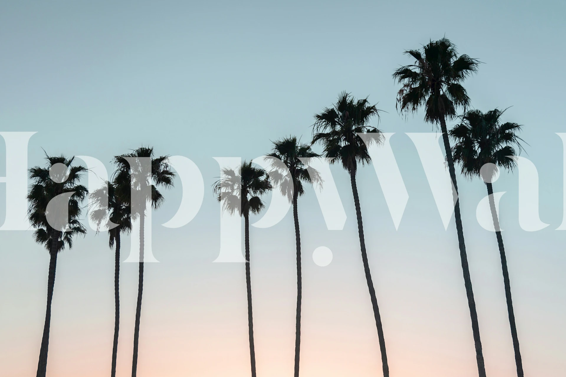 California Dreaming 3 Tapete mit Palmen