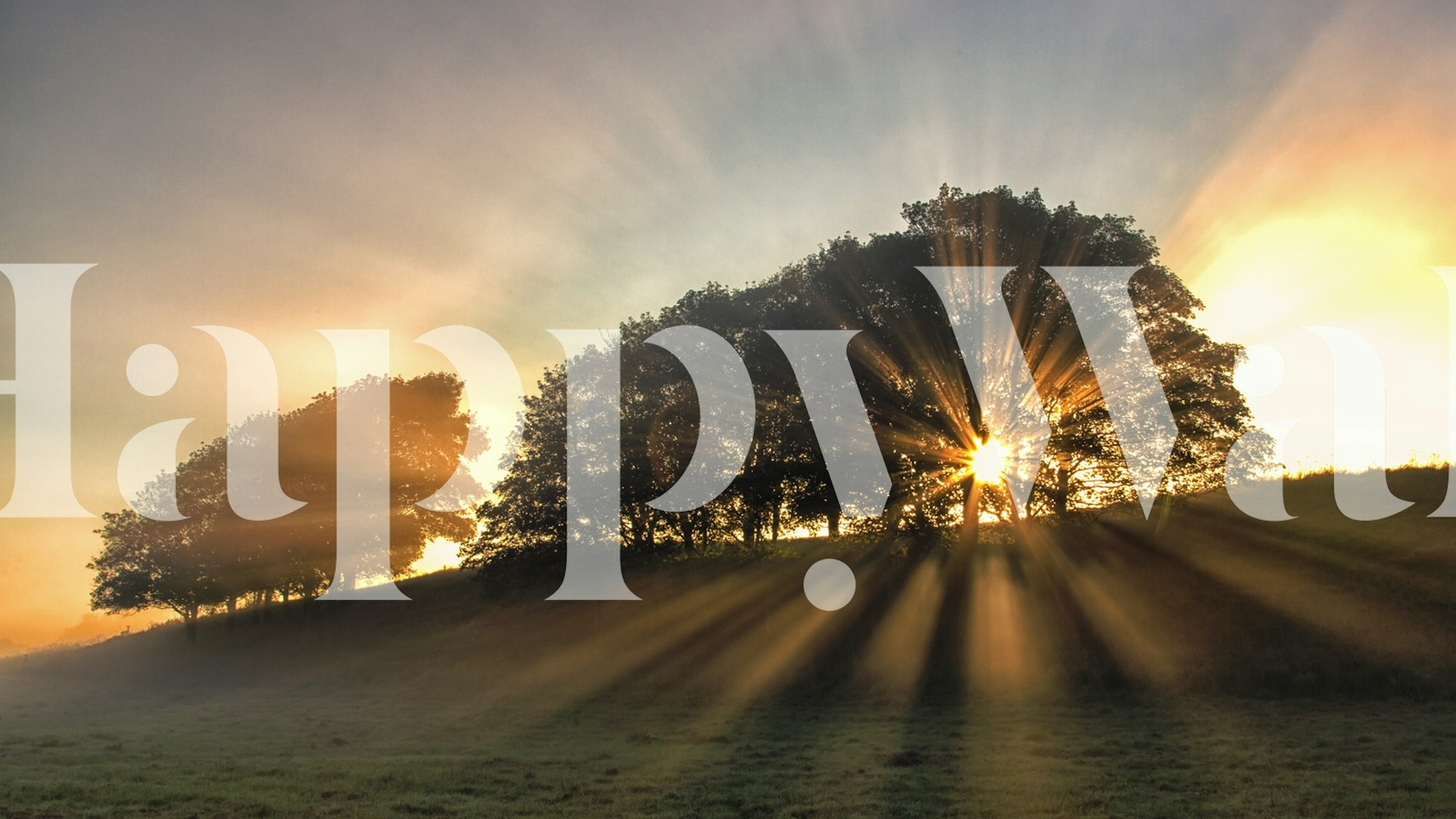 The small deer tapeta w spokojnym otoczeniu