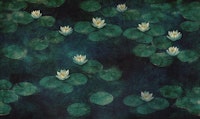 Dark White Lotus Painting papiers peint