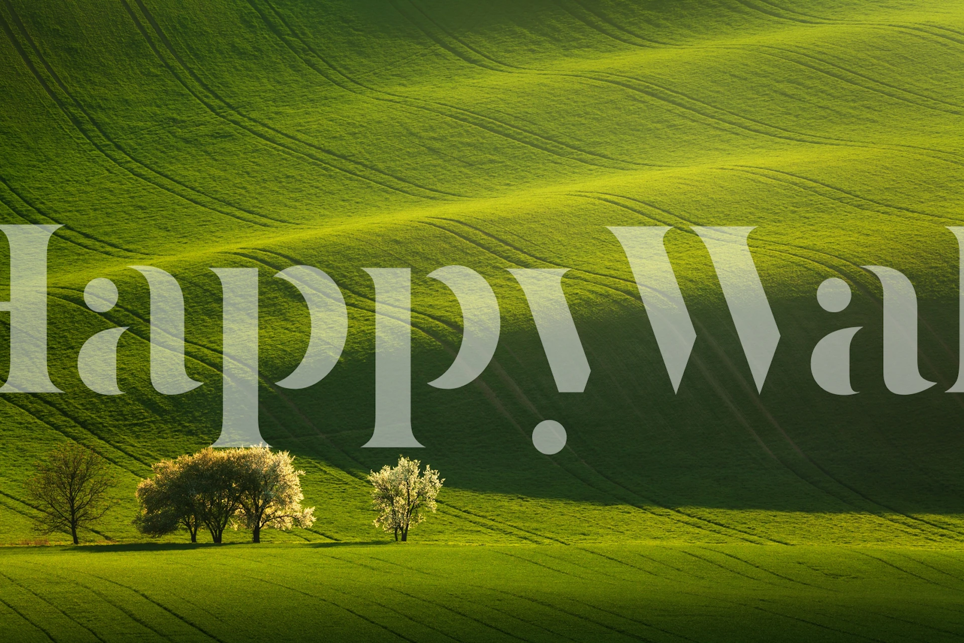 Abstract green landscape with flowing hills wallpaper