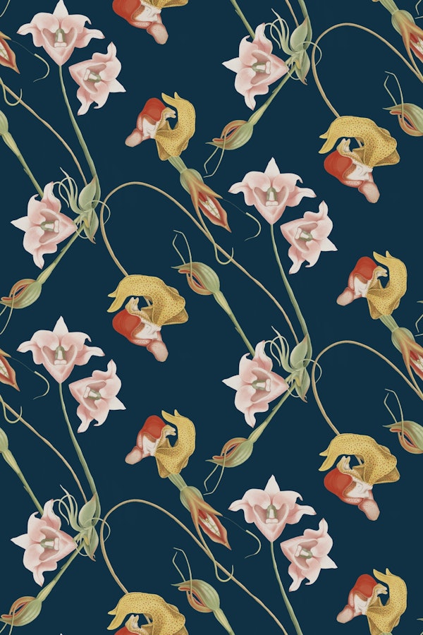 Botanical Blossom Art