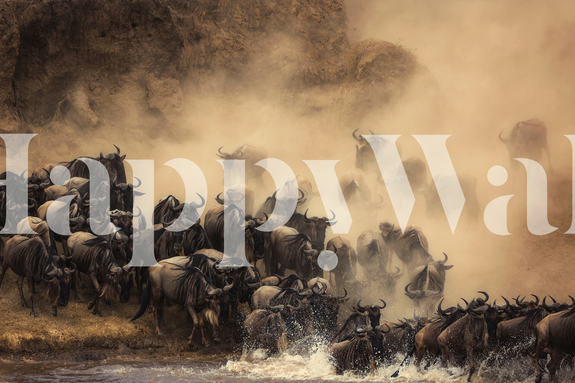 Wildebeest migration in action with dust and water wallpaper