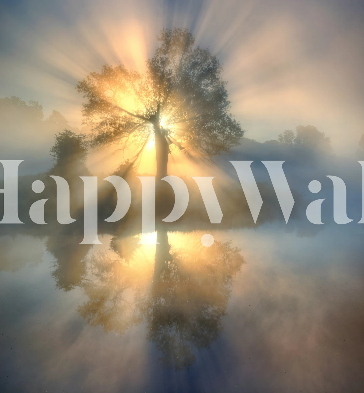 Tree with radiant sunlight and reflection on water, nature wallpaper