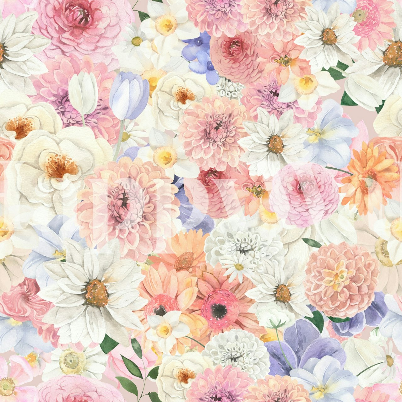 Colorful floral design featuring pink, white, and purple flowers wallpaper