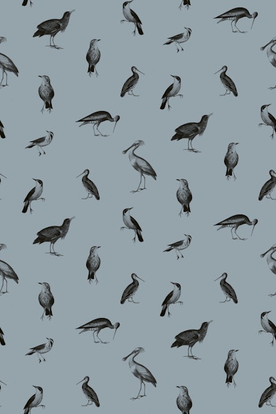 Pattern