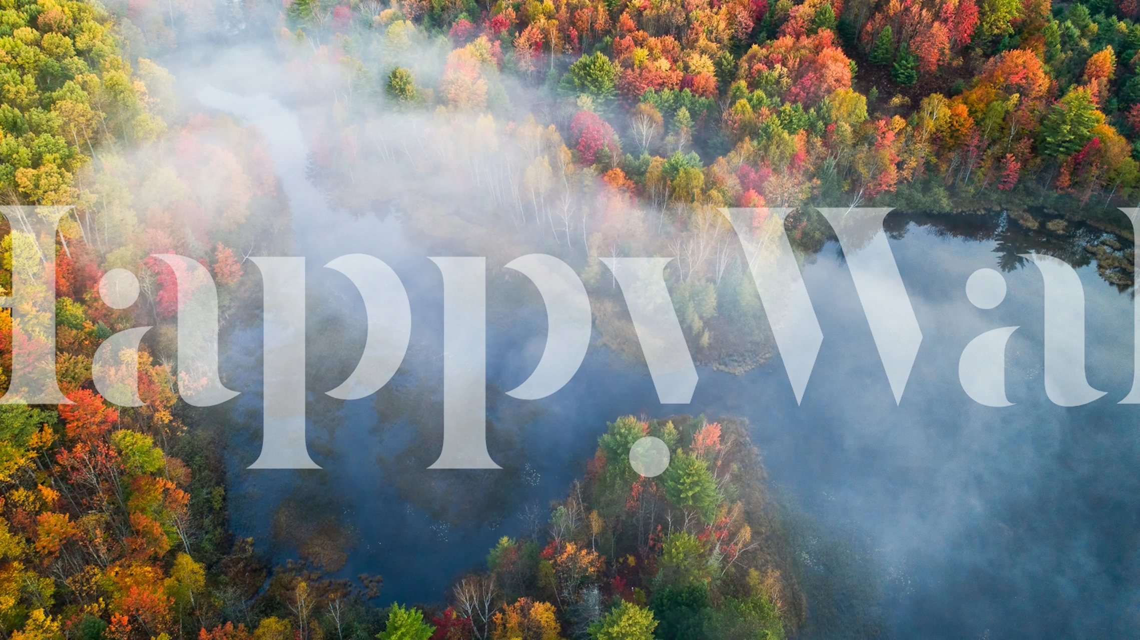 Aerial autumn forest wall mural with misty river