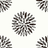 Delicate Floral Boho Charcoal tapete