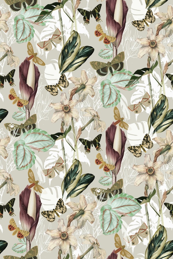 Exotic Flora and Fauna