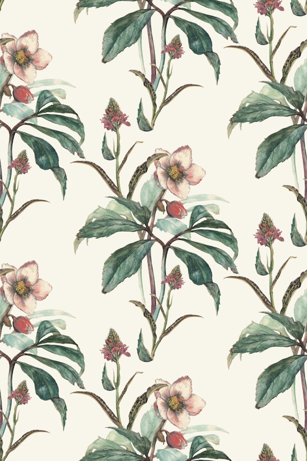 Vintage Botanical Blooms