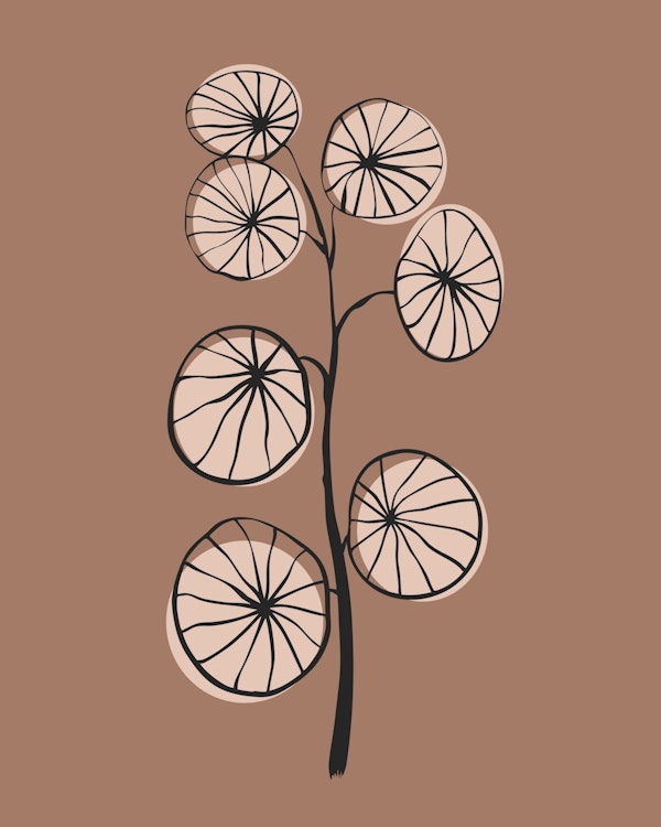 Pilea peperomioides on mocha mousse