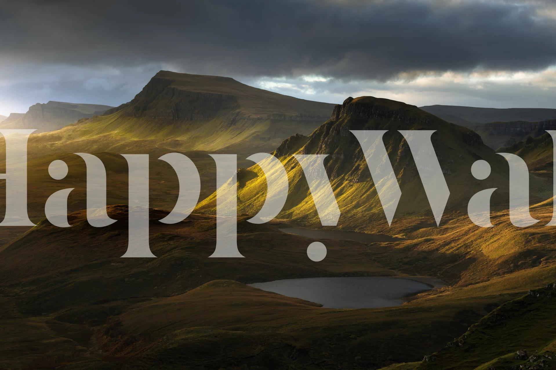 Adagio wallpaper in a beautifully decorated room