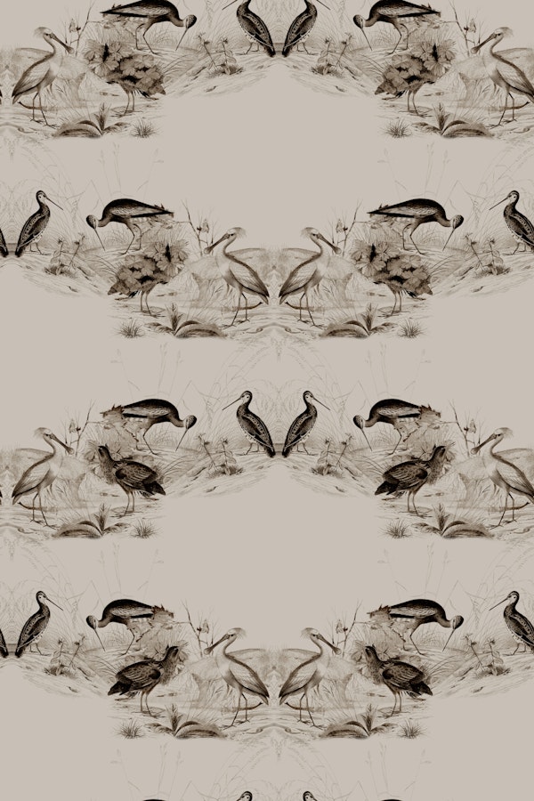 Vintage Bird Serenade