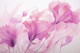 Gentle Pink Ethereal Blooming Fantasies
